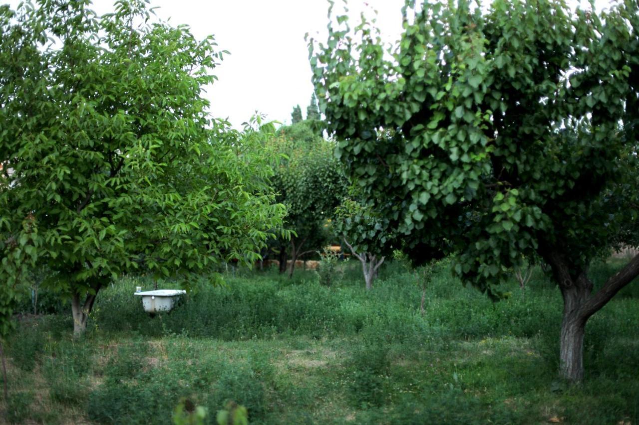 Noosh Guesthouse Ashnak Exterior foto